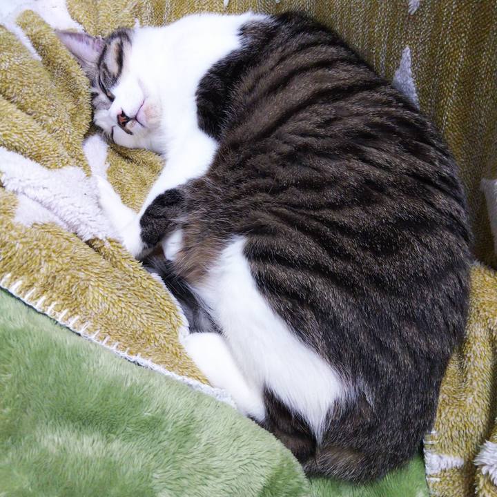 E7713490 8f6a 467b b5bc 76e09c3fe7a1 1644465804559