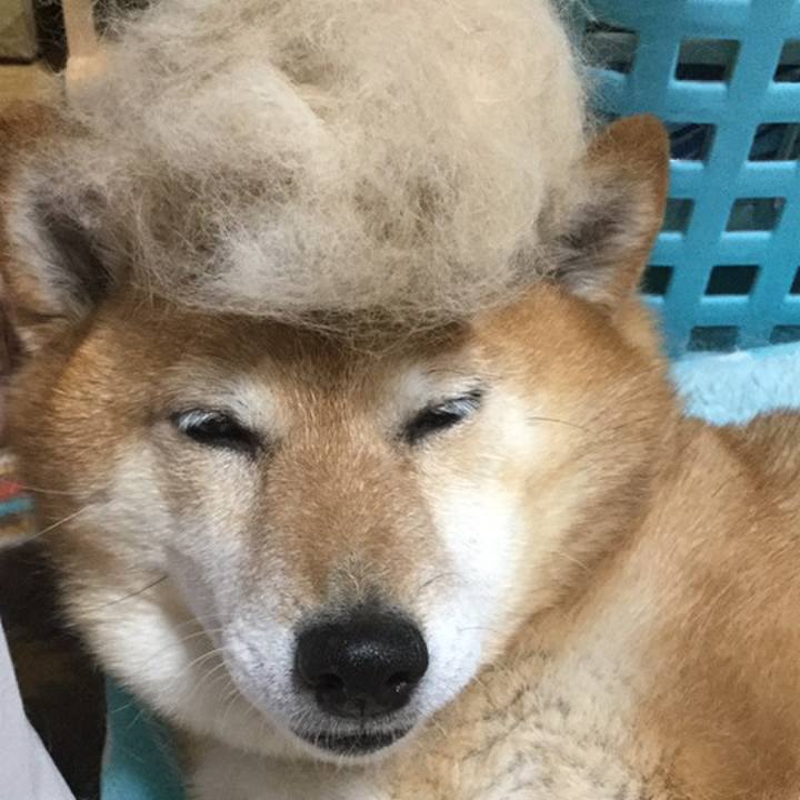 E7713b02 53a5 468a 8089 92693010b340 1558699858673