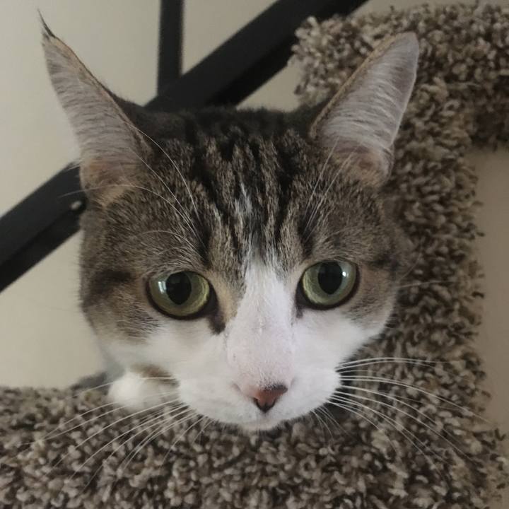 E77151a0 ecdb 4330 b6c3 7b11c00905c0 1635123395180