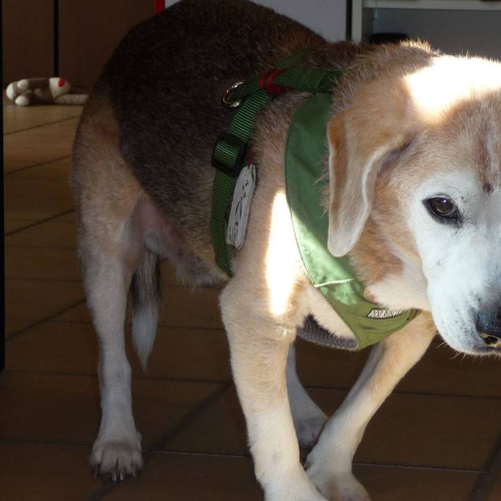 E77156e0 1f0f 4dd8 b7f3 204552c0fb77 1700443545616