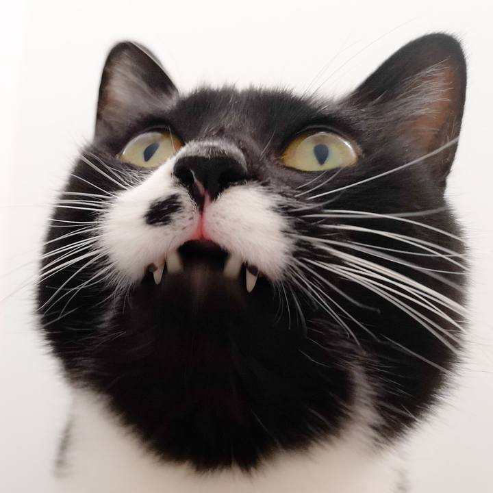 E7719dad d5d4 4ab3 bab4 d26de9e2c3e8 1574903924589