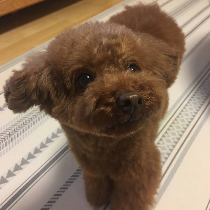 E771cd68 7f42 451c ad4c 2598e3e859da 1563794503304