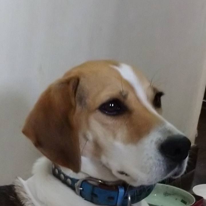 E771cf17 08d8 4063 9101 68990e17e3e0 1606952395739