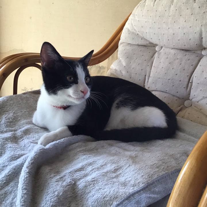 E771e0f0 e1aa 4662 9d3a 0701c5c2ac61 1629277644131