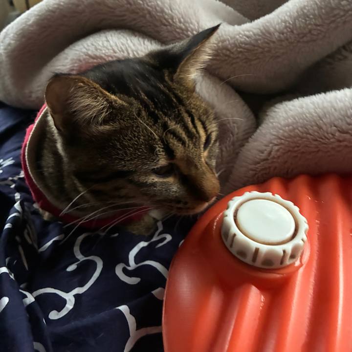 E771eb43 93e8 4e85 95dc 00f7970e9fef 1761726186007