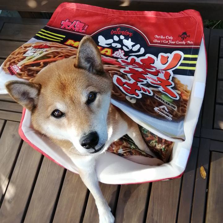 E7722bd7 b078 4d79 9b2f a17daca06a3b 1604985343106