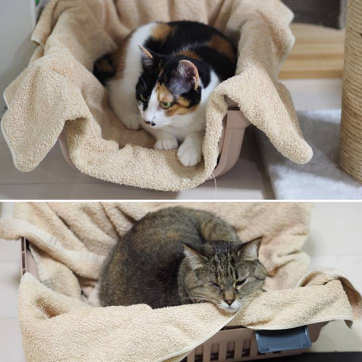 E7722c5a ecbd 452c 93fa efb82c2fa8f8 1524001101509