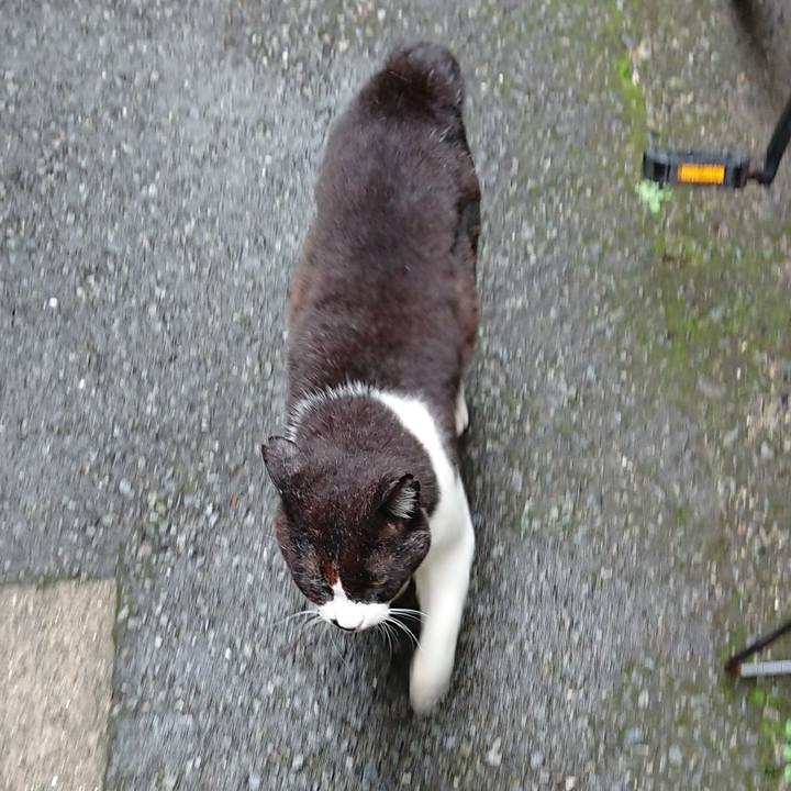 E7724147 313b 4642 a773 41a1793d5f12 1653967937336