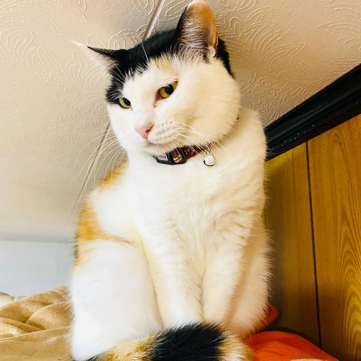 E77248c8 35cb 44cb 8be8 46fb948d8006 1669238263451