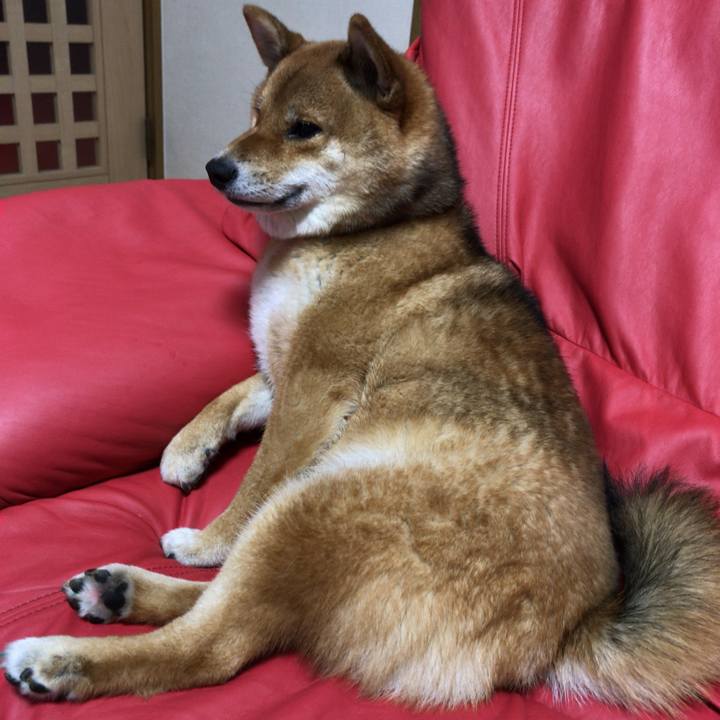 E7725e20 53e2 4199 a6a5 27f7b572d31f 1559300260316