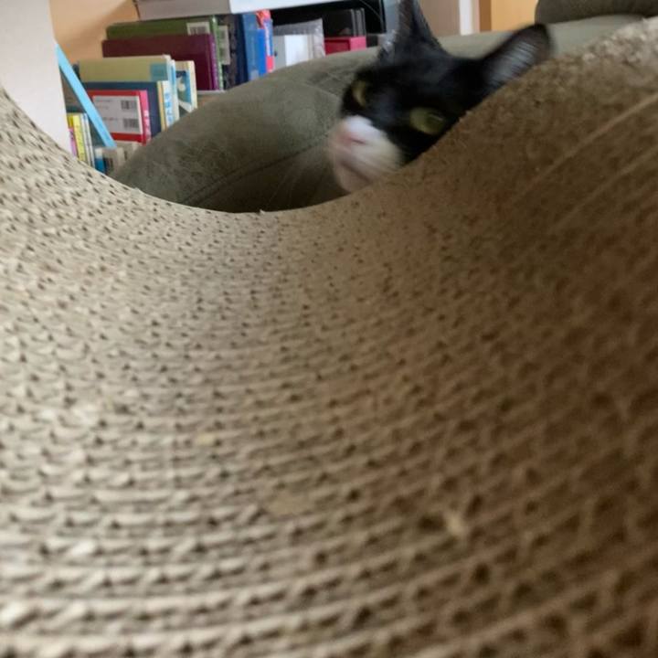 E77261c5 c157 49ff 9cb8 37ff8277dddd 1618104714037