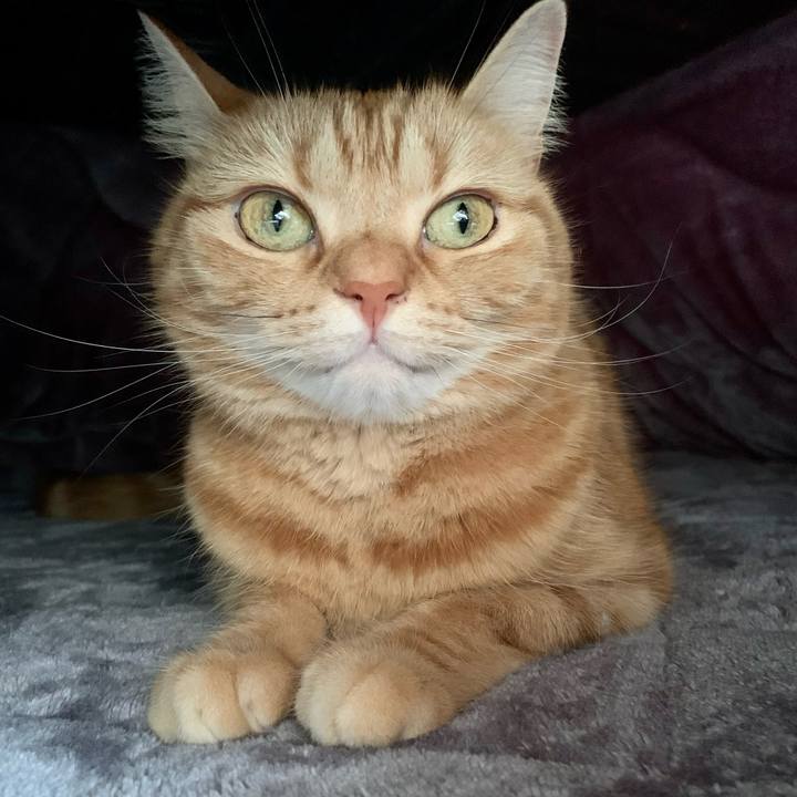 E7727cf2 1959 4b85 96d3 4cdd28ce36d9 1676114106757