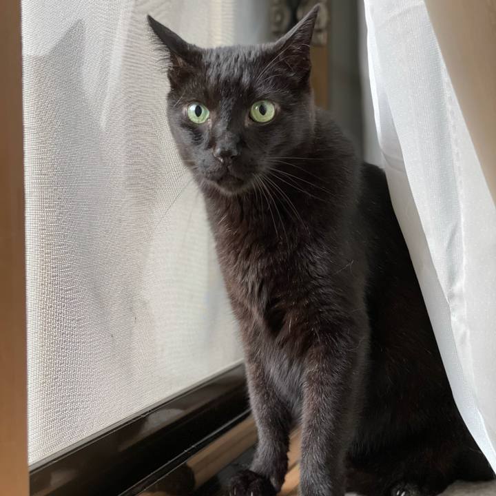 E772a71d f084 4f4d b224 536c46adff50 1626574822504