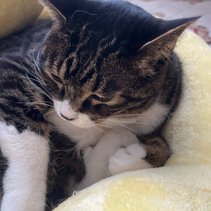 E772cb1e 90ae 4650 8396 d8f0e9ff88b7 1768261265823