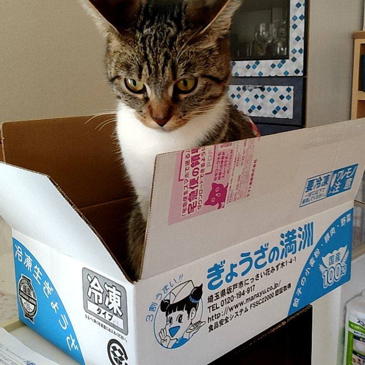 E772d445 fec2 449f a5c0 5bea712b6208 1677391851525