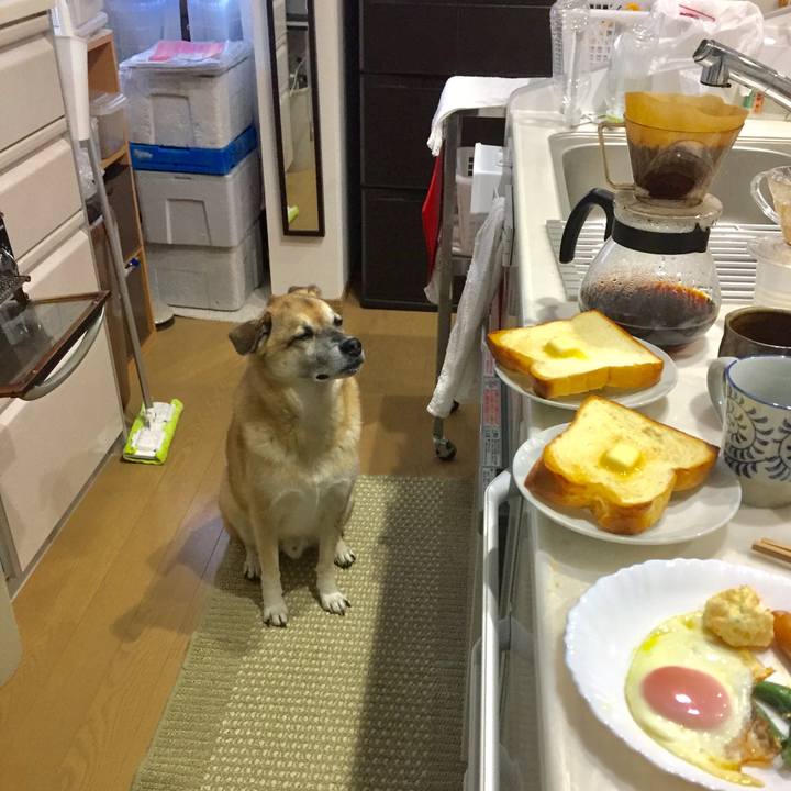 E772d709 fd51 49a5 a4dc edd8e6a1d1b5 1574205396418