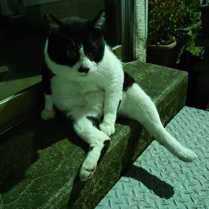 E7731ce6 c0dc 4a77 9378 c8cb1c805a91 1533386634823