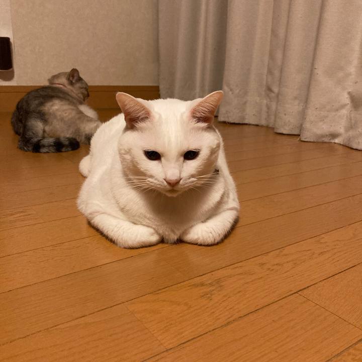 E7738487 e291 4fa0 918b 372e815360b1 1662127008818