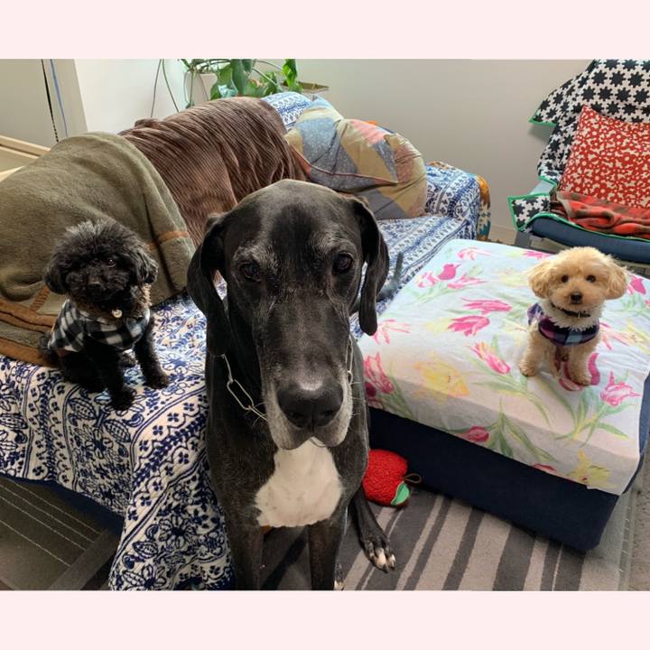 E773872d 884b 44b8 b023 9c4a30376ccf 1548802101848