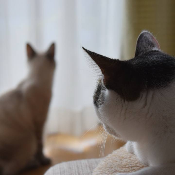 E7739cd8 c41a 4e78 a635 572a1200c12e 1735900377149