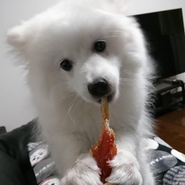 E773a6b6 0dcf 4cc2 b187 063e66c18309 1549187589092