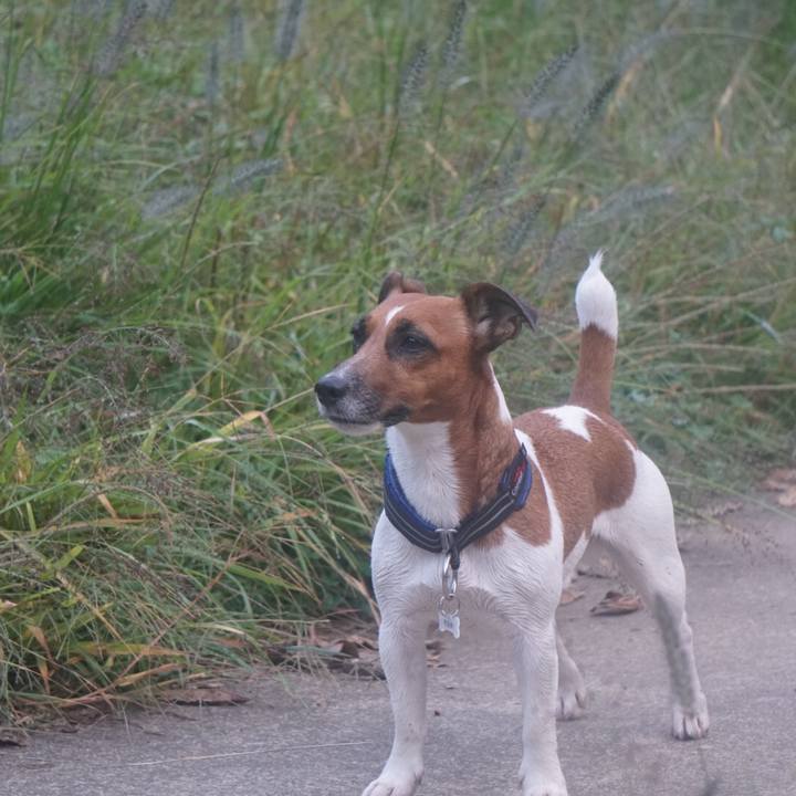 E773c393 9e96 46b0 b297 b0ce1ed9250e 1509663439285