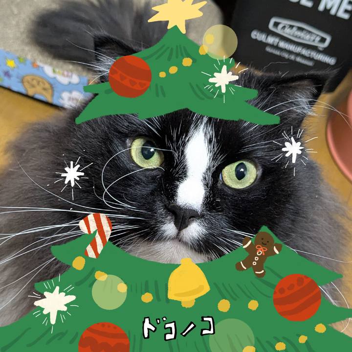 E7742639 898c 492c b4c1 80de9a95f76b 1763962147705