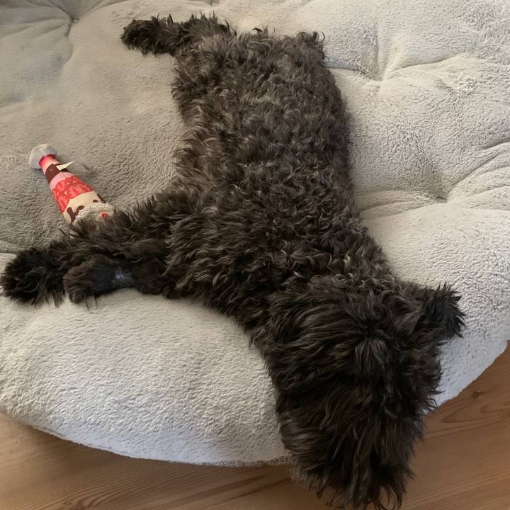 E77427d7 3896 4b30 ab51 5e6c5d986305 1672027074114