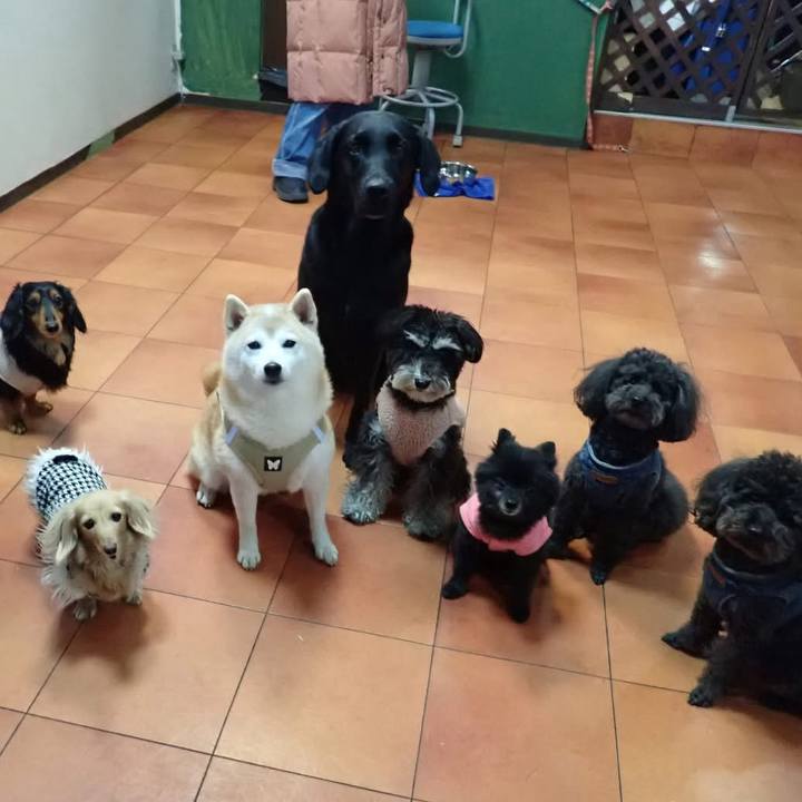 E77462a1 e4fb 431e 858b 6a4870444723 1739306979999