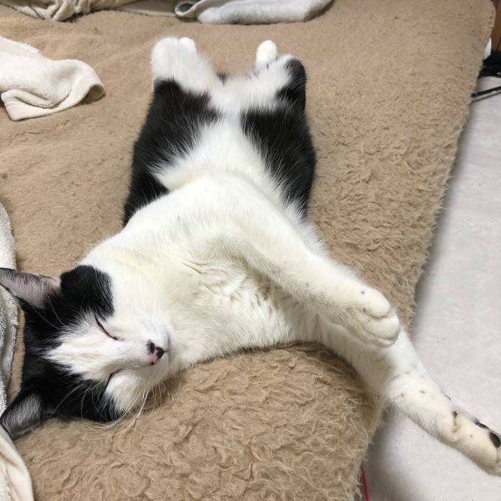 E7746340 6730 4fc3 be7a 67342700f248 1547560778157