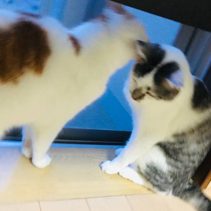 E774822d 7547 42ee aae9 920df3edc351 1599986171079