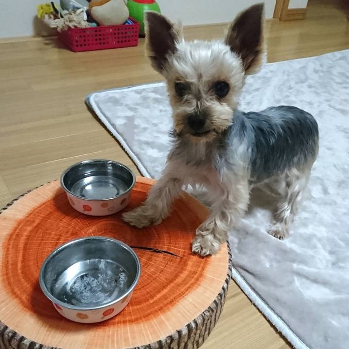 E77493ae 1c0b 45e3 82fe ae63e1f5c8f4 1542861339458