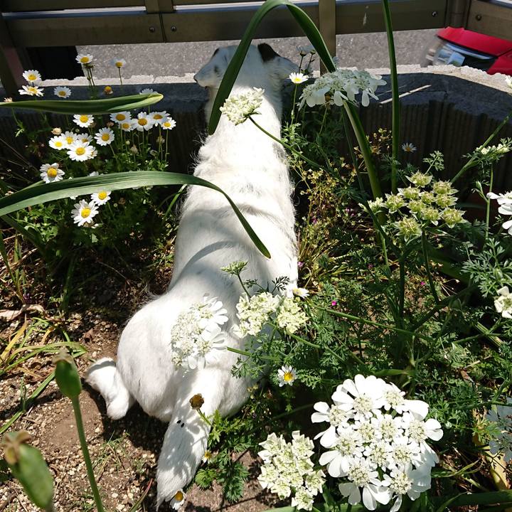 E774ba8c a88e 4d75 aea4 cf980bc1f356 1526426445774