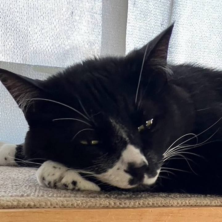 E774e0ad 812f 4e01 8862 6f2ec90efec9 1722082910163