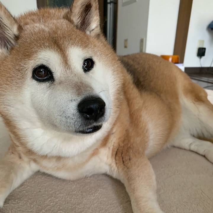 E774f37e 4faf 48b5 ab82 0cfc7ed9a9d0 1594032296268