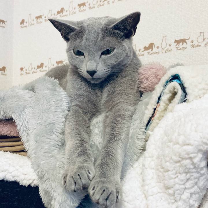 E774f46d b785 46b6 94a8 60cd91497669 1652309987652