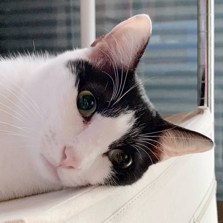 E7750f3a 33bf 44d9 a2bc 82aa6afd1370 1538446588385