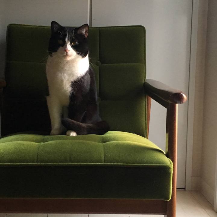 E775104b a1d5 4b48 980e ce6de959e87c 1555367084195