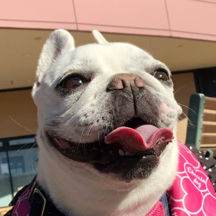 E7753287 7650 4730 b240 f5be64e32f00 1609582017468