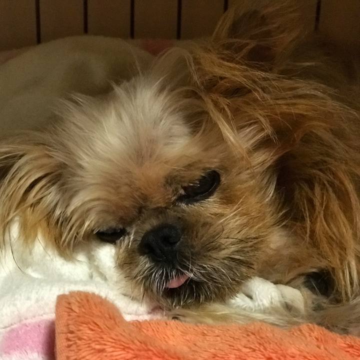 E7753bfe c01a 490a b154 88728e34df9e 1573649001357