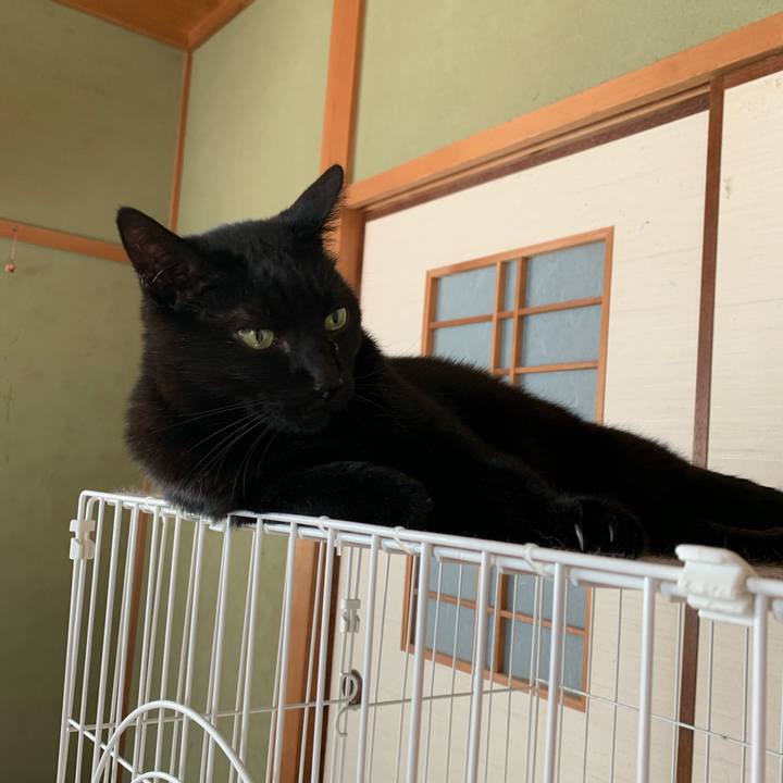 E7755c90 7f5a 453e 8d2c 64bcf2abf296 1573954819659