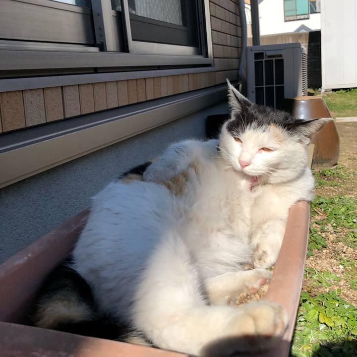 E77594e9 14eb 4633 8375 eb2d50fe09ba 1613734732292