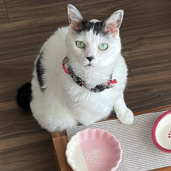 E7759569 978f 4849 8c7c f0966b9a0e42 1719040419523