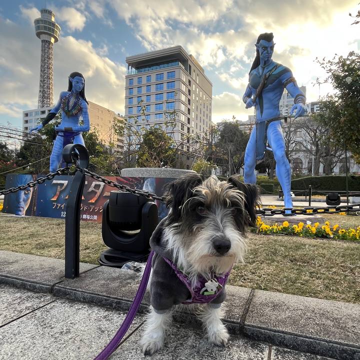 E775965c 1676 4918 9df2 8ab6db2e9a7d 1766125653346