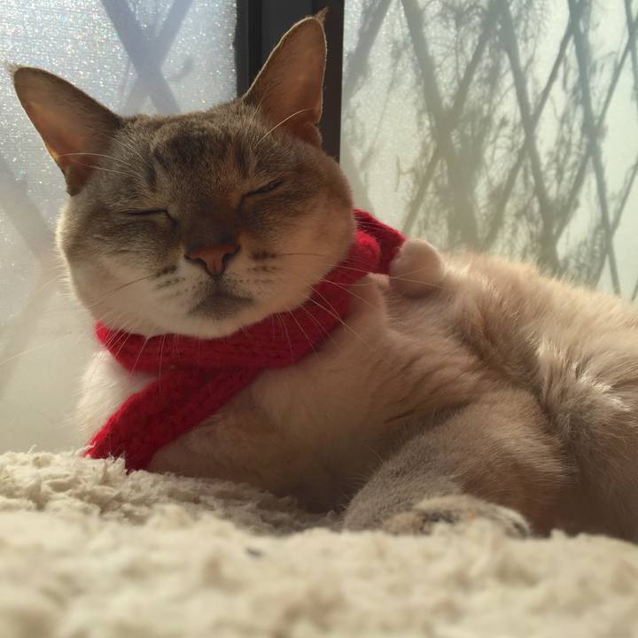 E775e62d 4b87 4e5f ab73 823cf9ac7167 1543032282661