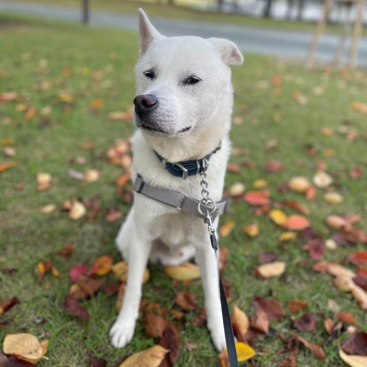 E775e7c1 e364 4560 a41a d2889cdc813a 1761968324043