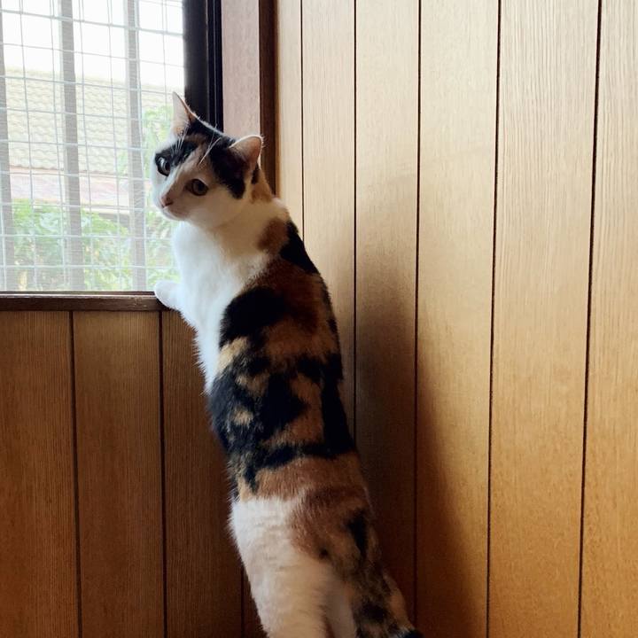 E775f628 f958 4426 a9b6 d9b9448f8260 1545272379182