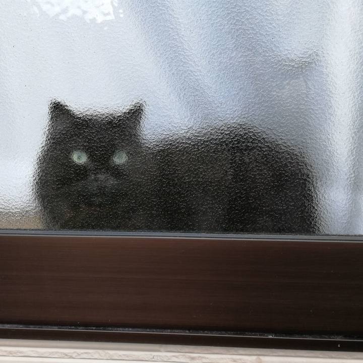 E77614c8 3541 424f a6db d3220b29cd37 1537065904458