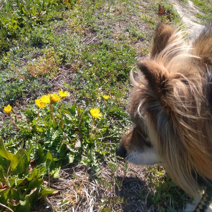 E7768112 a88f 426c b531 4ce379d9bc47 1585120232676