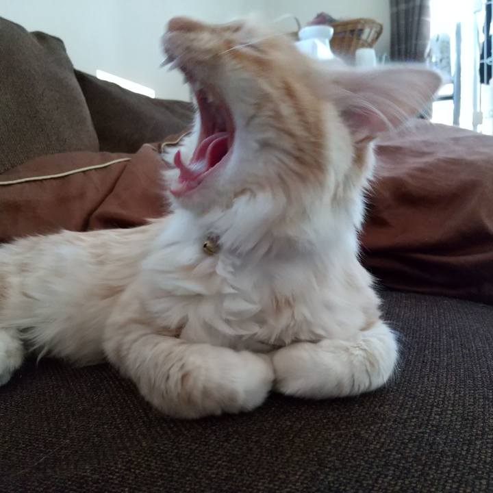 E7768edd 728a 40f0 83e5 bfb7d166ae34 1618994975388